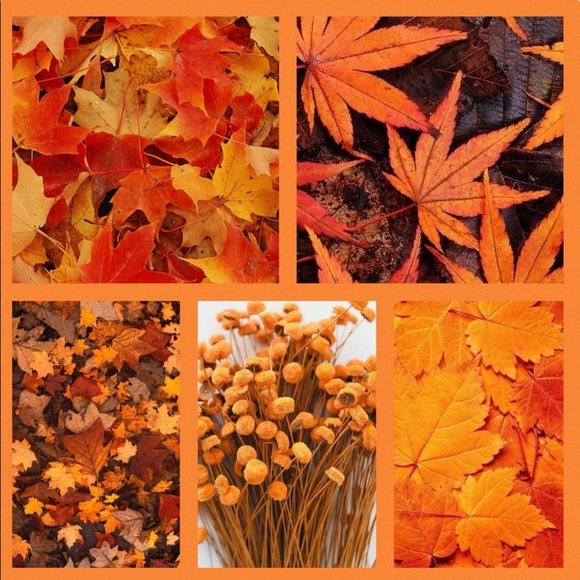 Pottery Barn Leaf Platter 🍁🍂 - Picture 11 of 16